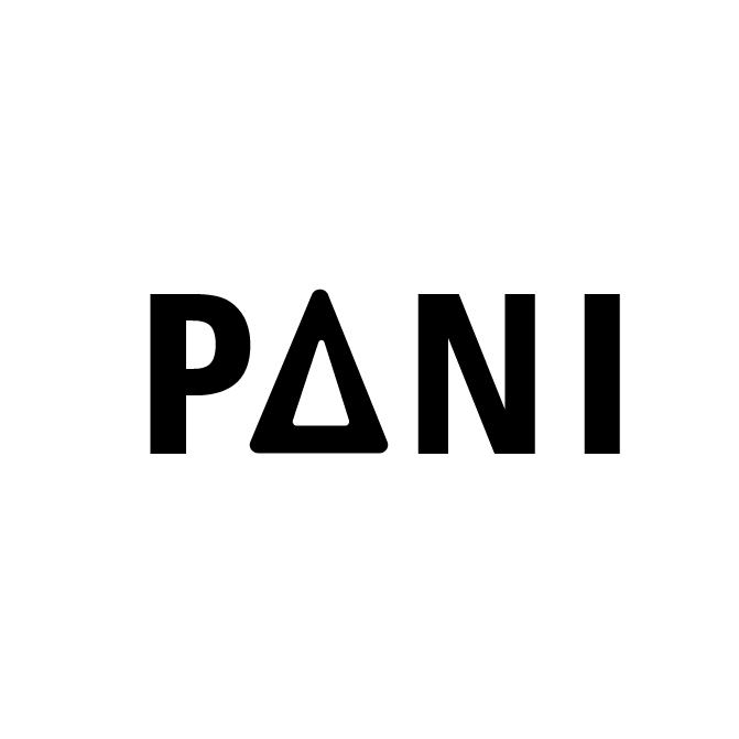 PANI (韓國)