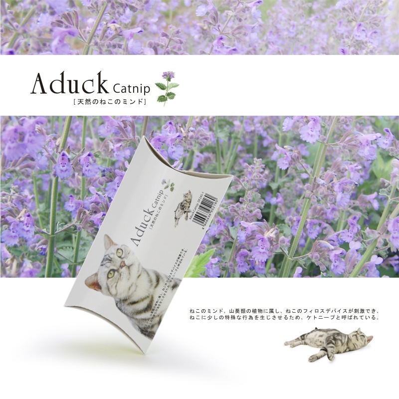 Aduck Catnip 小清新天然貓薄荷 約15g (紙盒裝) DF245-1