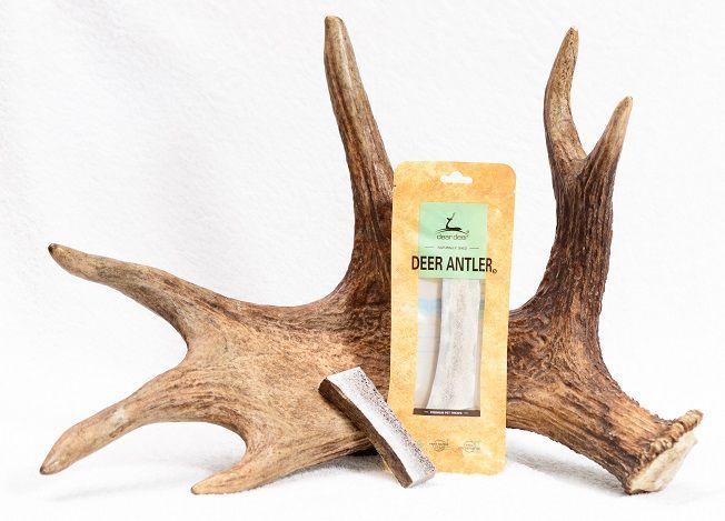 antlers.2.jpg