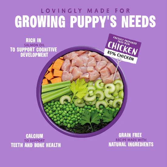puppy-days-wet-dog-food-all-hounder-2402002.webp